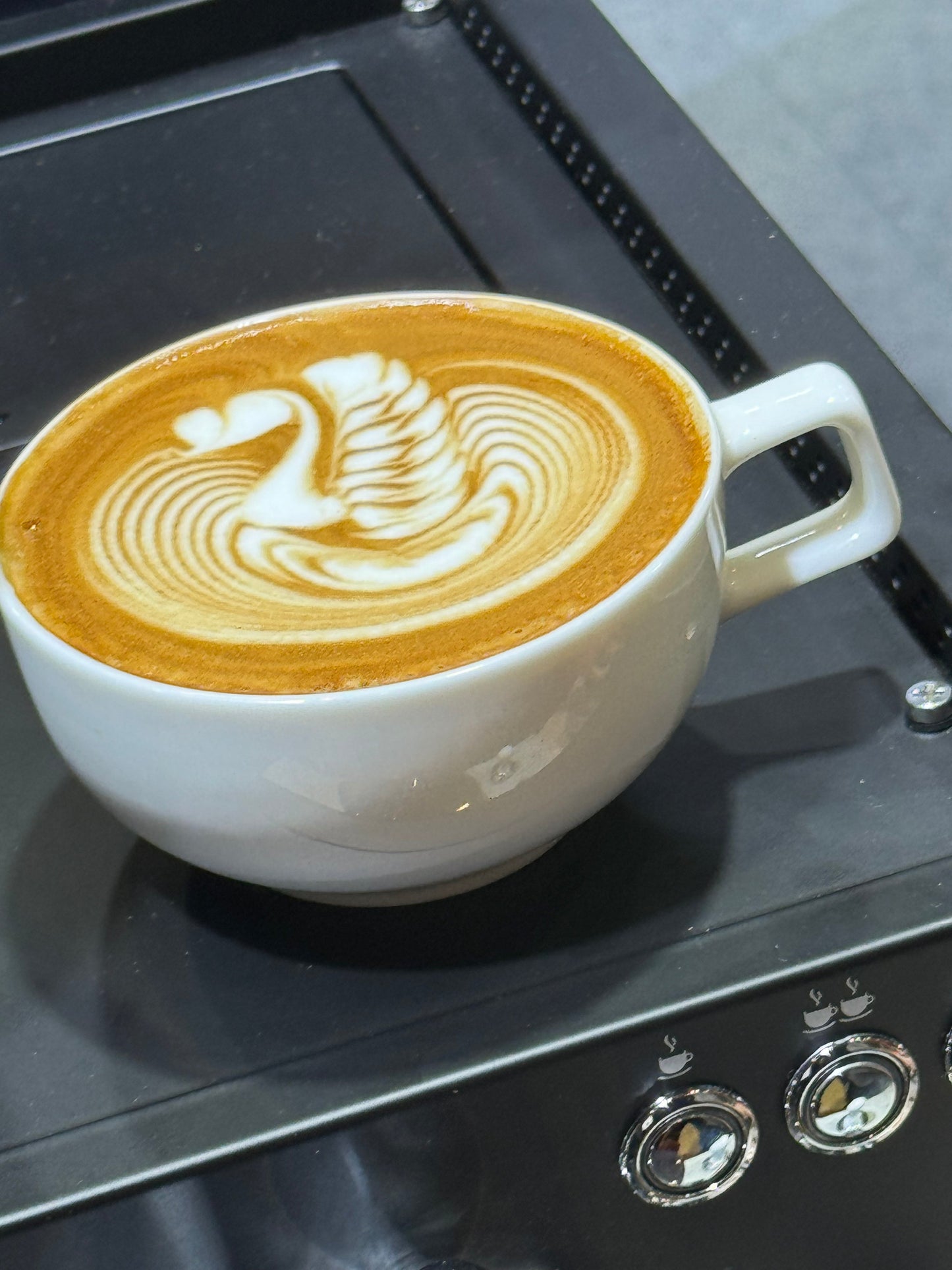 WPM 8oz Latte Art Tasse