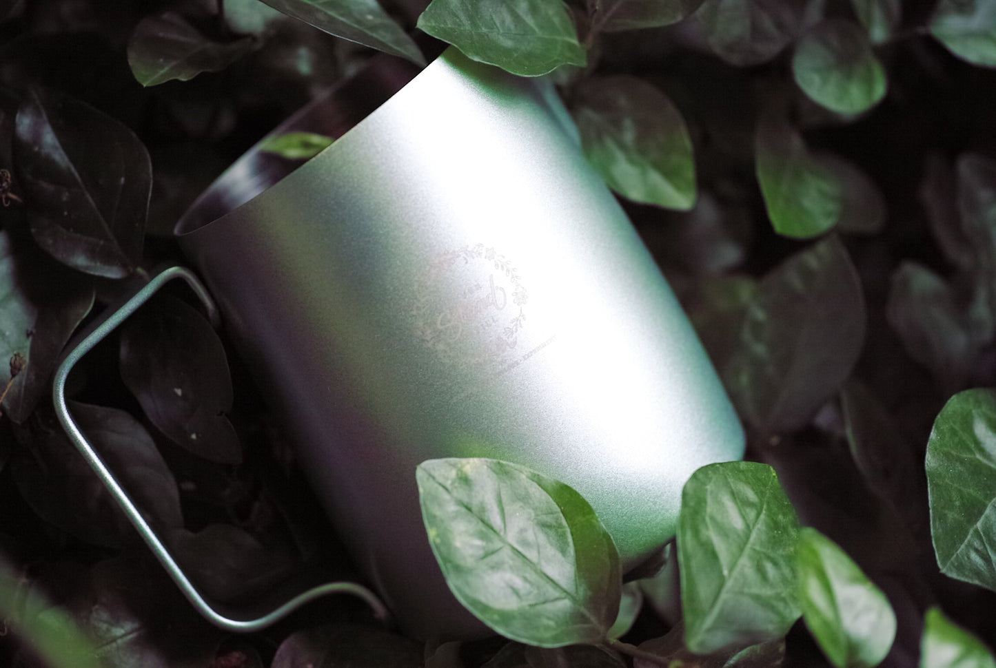 #15 NSS x WPM Pitcher